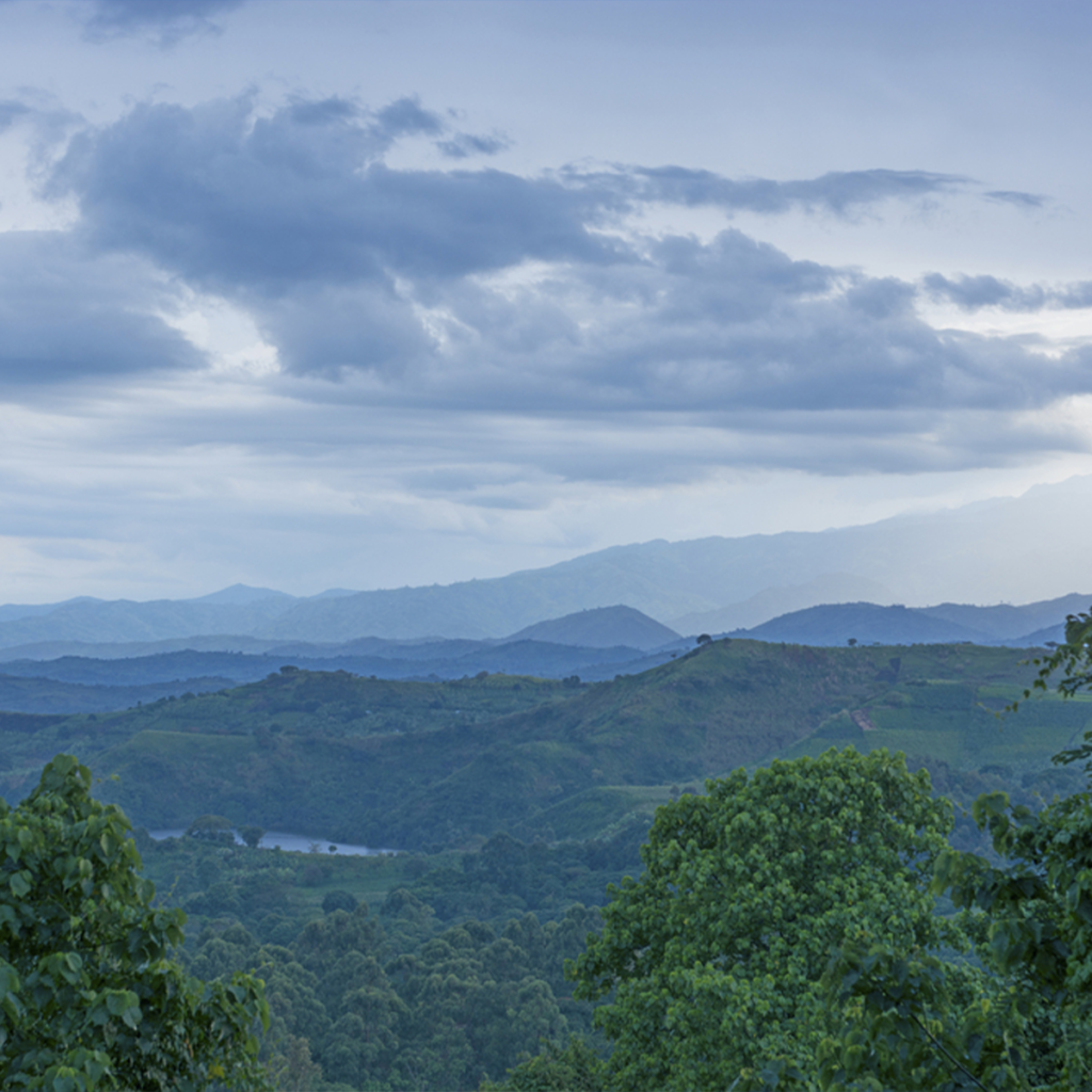 Climb to the peaks of Heaven